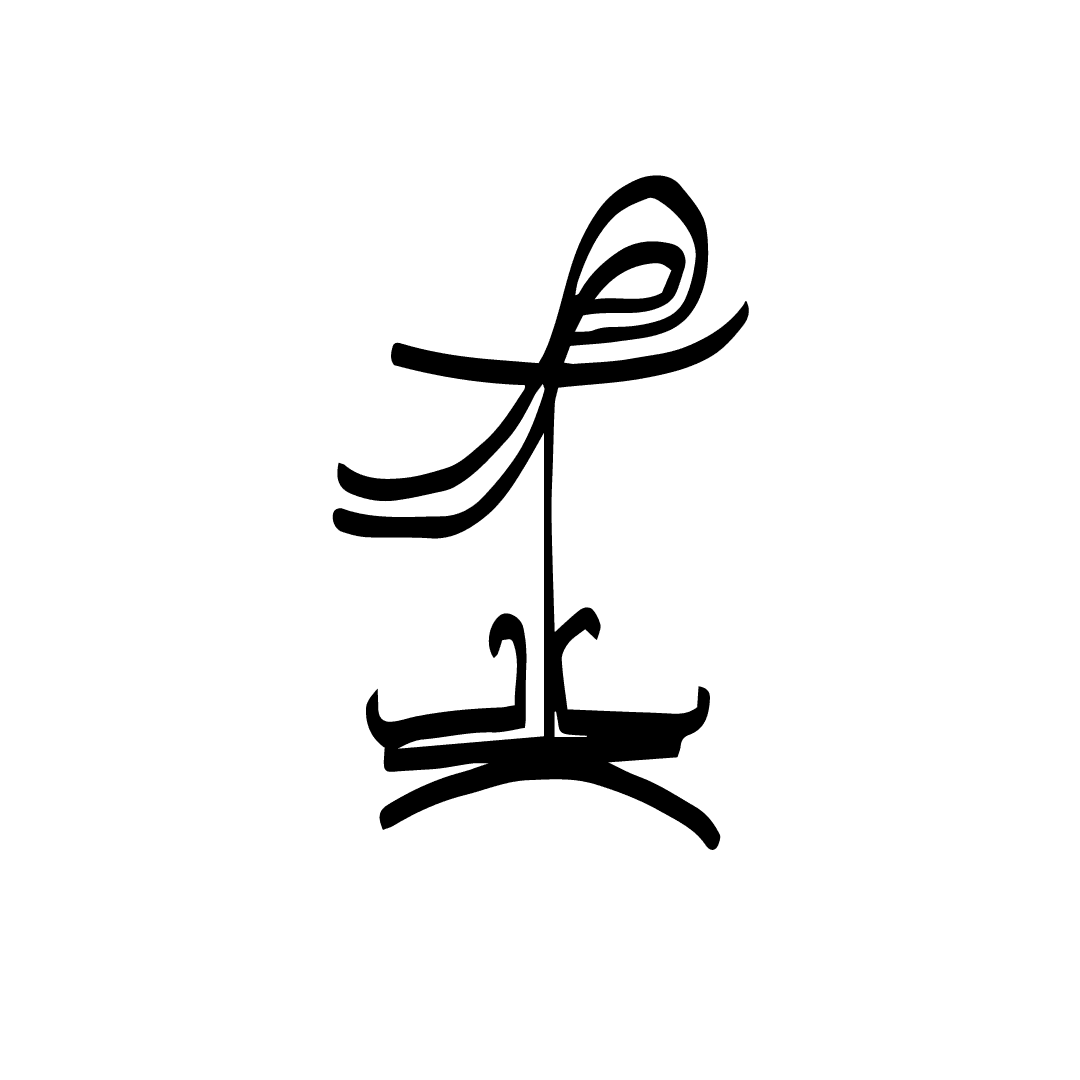 pernambuco percussivo